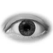 Eye-normal